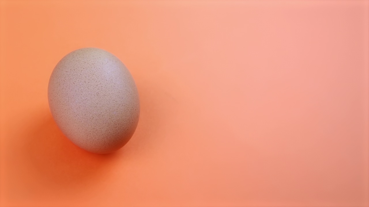 橙色背景下的鸡蛋视频下载