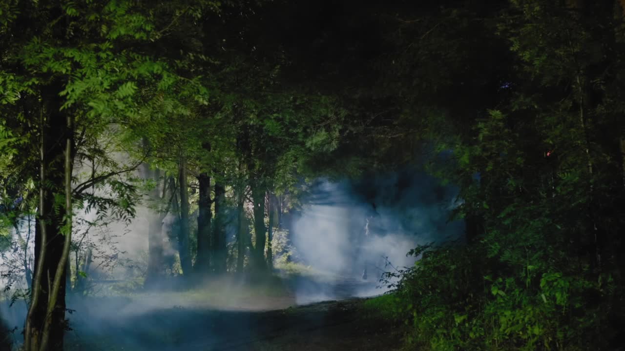 一个穿着黑斗篷的中世纪骑手骑着一匹白马，在雾蒙蒙的神秘森林里沿着一条小路飞奔而下视频素材