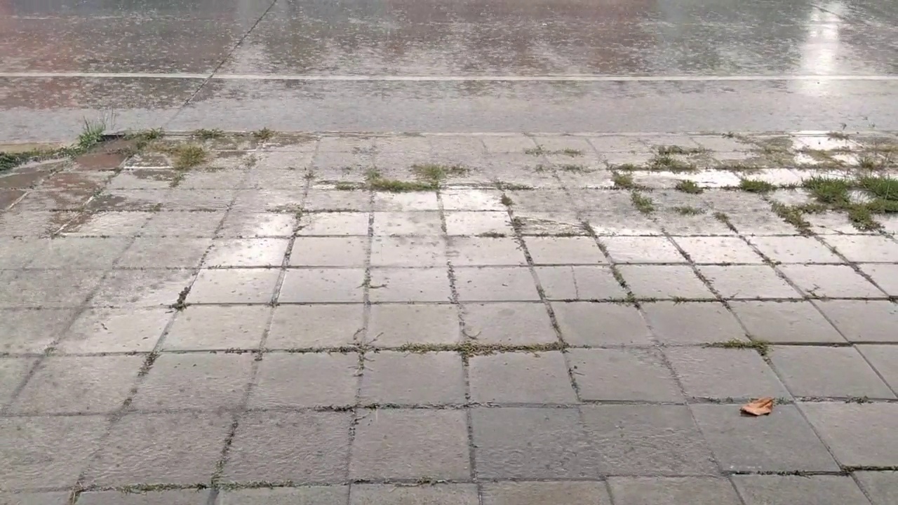 雨点落在路上。视频素材