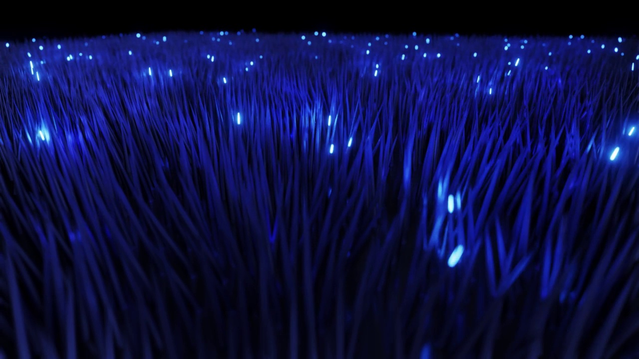 数字海葵在网络空间中闪闪发光视频素材