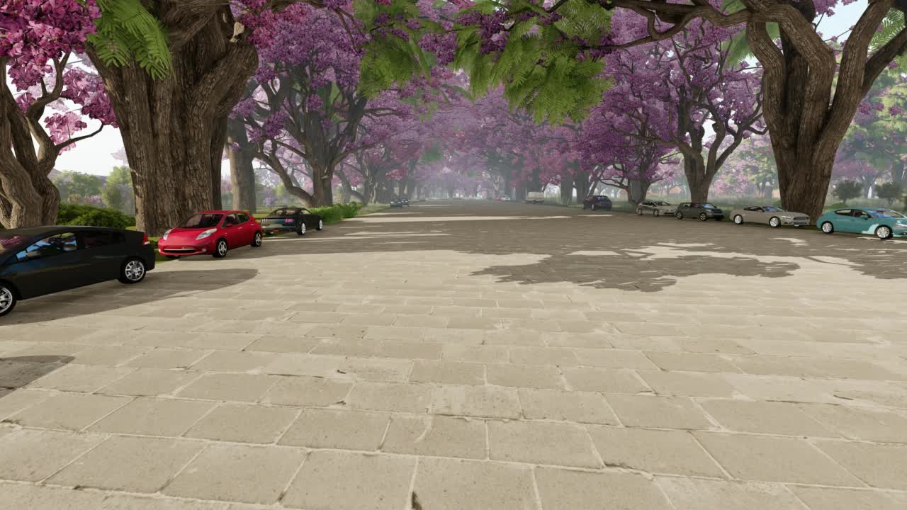 附近有粉色蓝花楹树，摄像头升起，4K视频下载