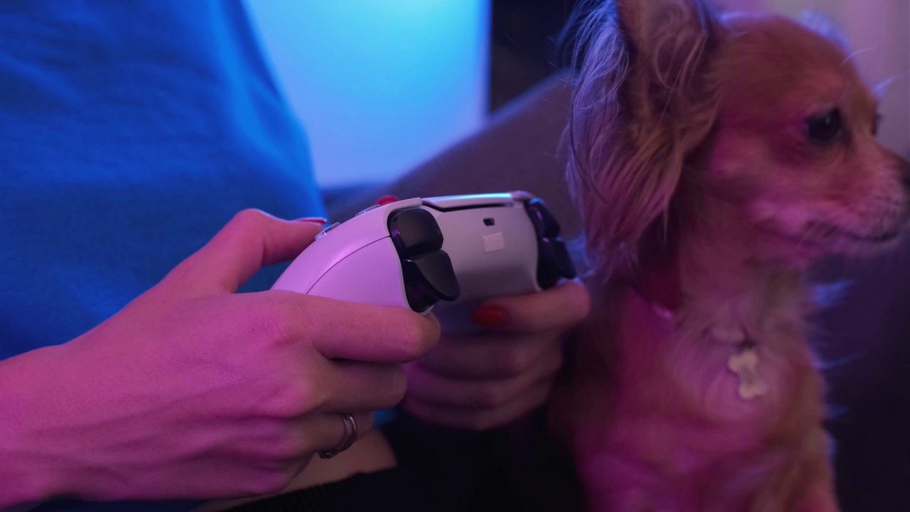 在霓虹灯下用现代游戏机玩电视游戏的女玩家抱着他的吉娃娃狗视频下载
