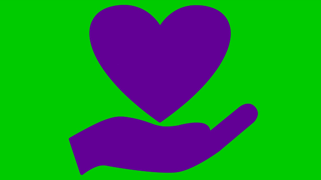 活泼的紫罗兰在手掌上怦怦跳动。循环视频的心跳。慈善、健康、医药的理念。矢量插图隔离在绿色背景上。视频素材