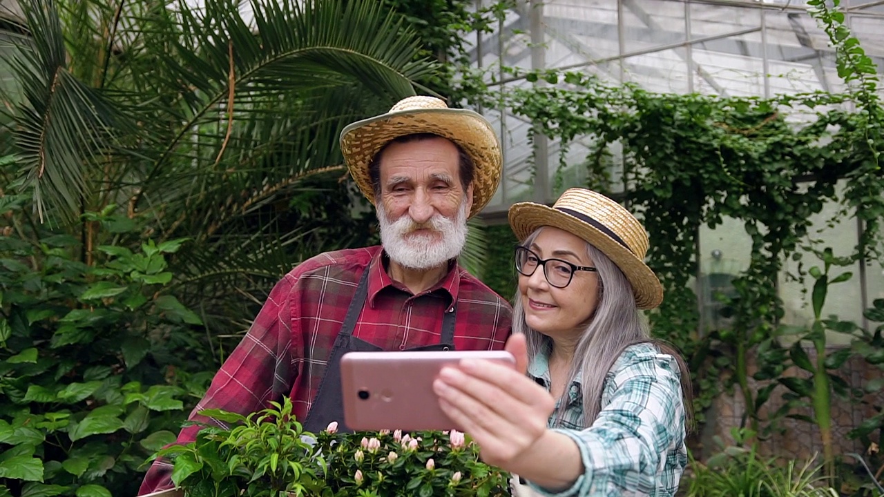 好看的幸运勤劳的老夫妇戴着草帽站在温室里，用手机拍照视频下载