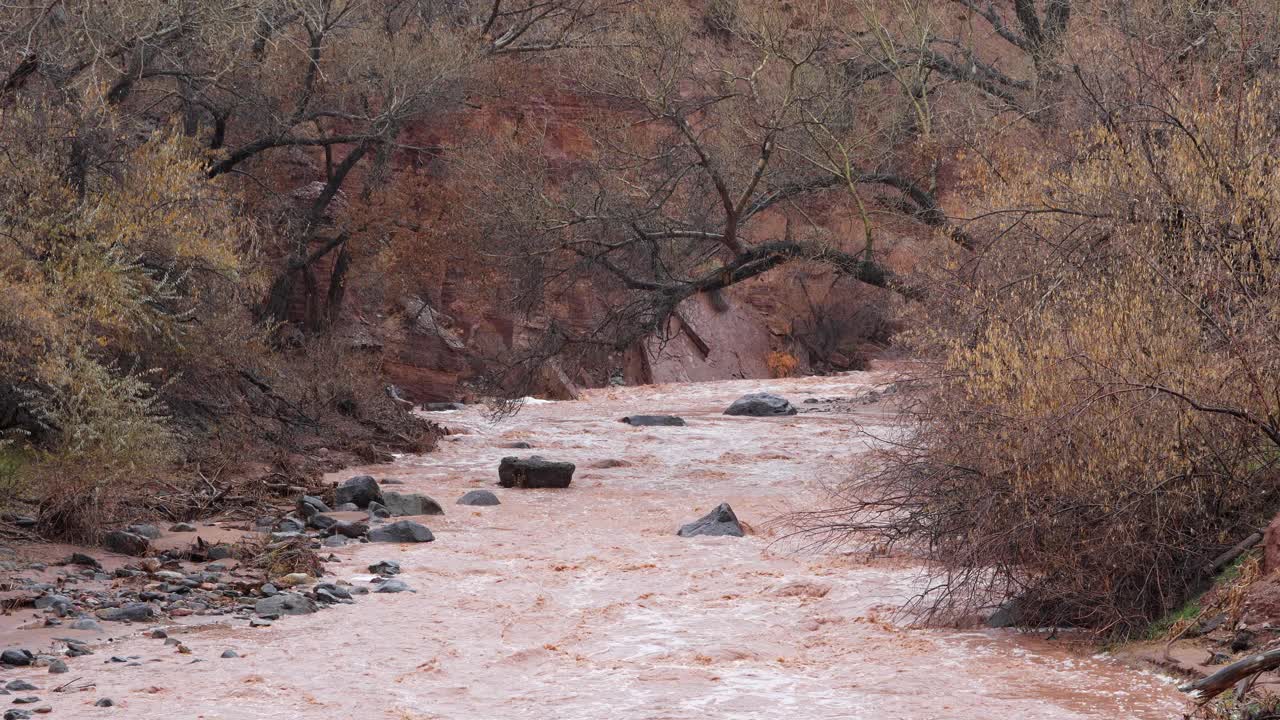 在山洪暴发预警期间，泥泞的河流从锡安流出视频素材