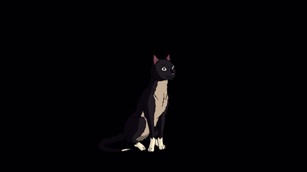 黑猫舔它的爪子alpha哑光高清视频下载