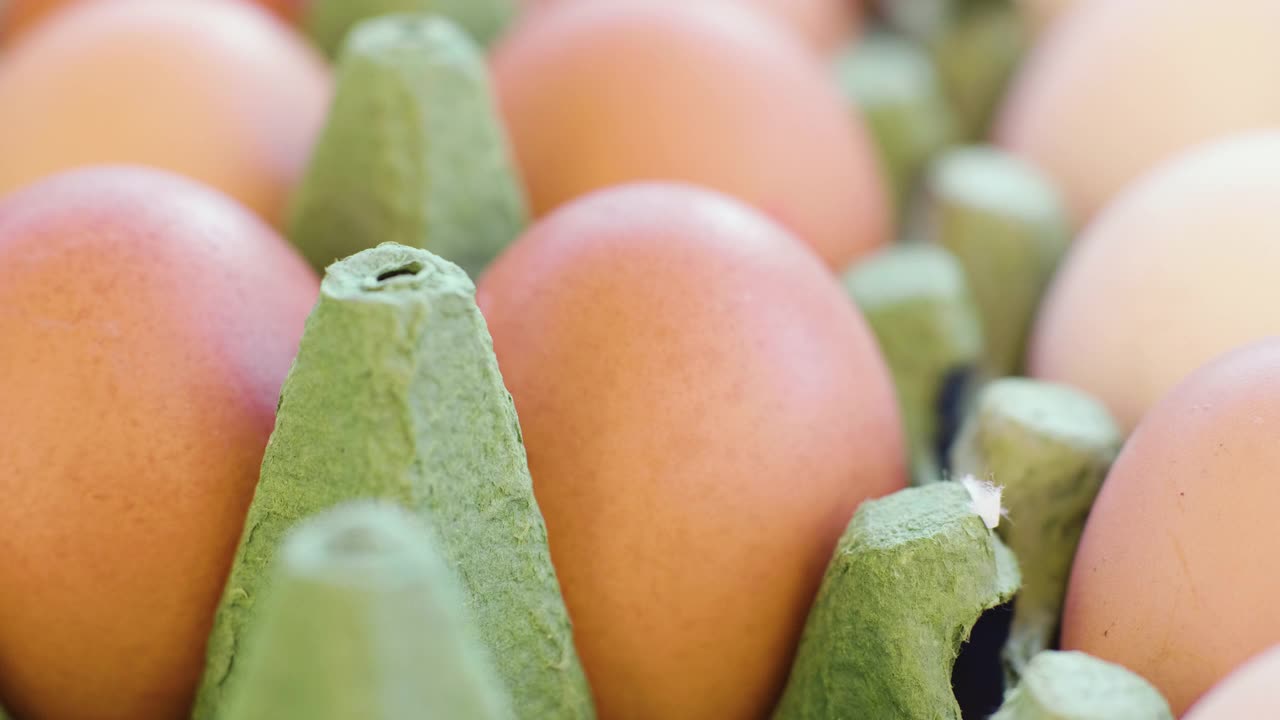 鸡蛋盒里的新鲜鸡蛋视频素材