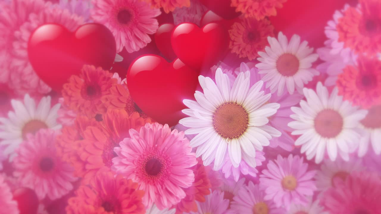 情人節的愛心和鮮花背景視頻素材