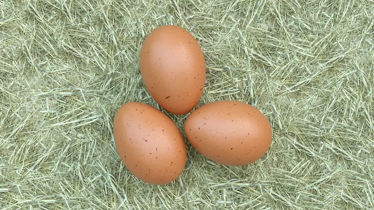 稻草上一堆鸡蛋的动画。特写镜头视频下载