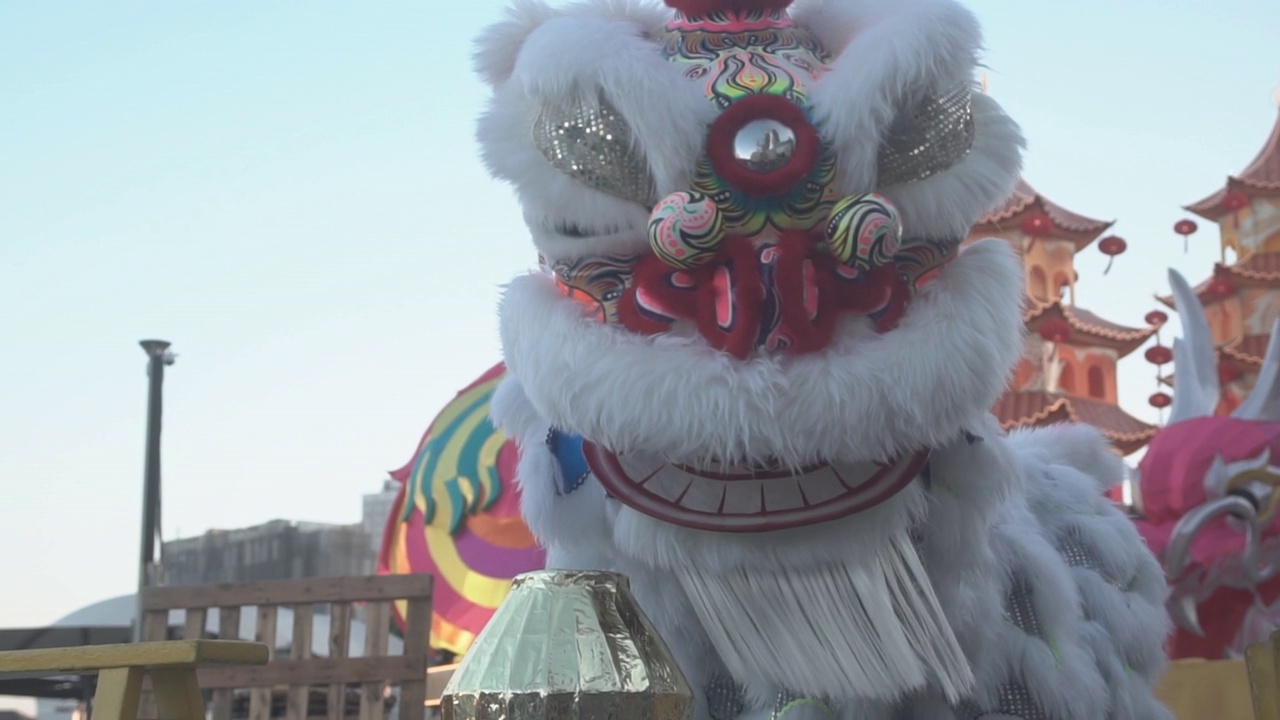 中国舞狮表演。视频下载