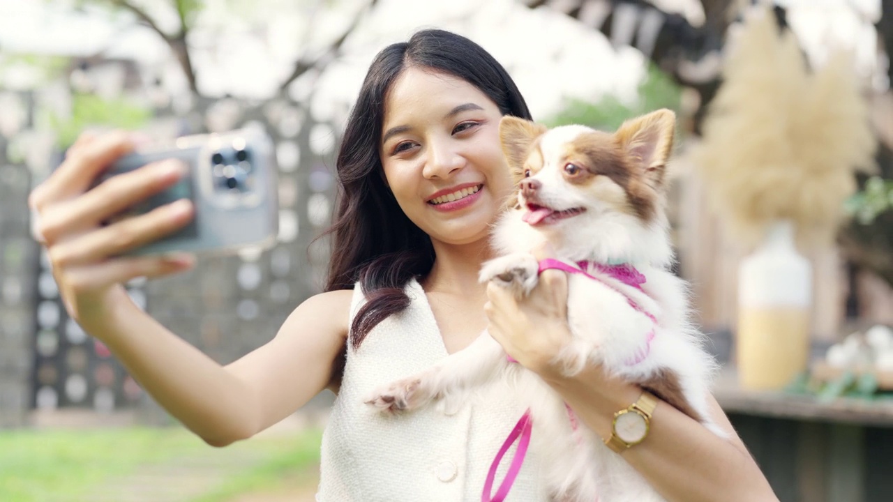 4K亚洲妇女用手机和她的吉娃娃狗在宠物友好咖啡馆自拍。视频下载