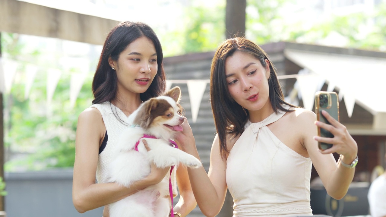 4K亚洲女性朋友用手机和吉娃娃狗一起在宠物友好咖啡馆自拍。视频下载