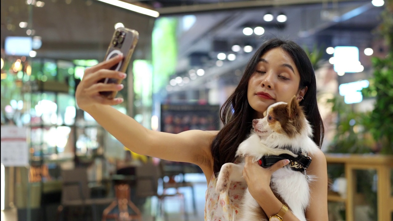 在宠物友好型购物中心，一名亚洲女子用手机和她的吉娃娃狗自拍。视频下载