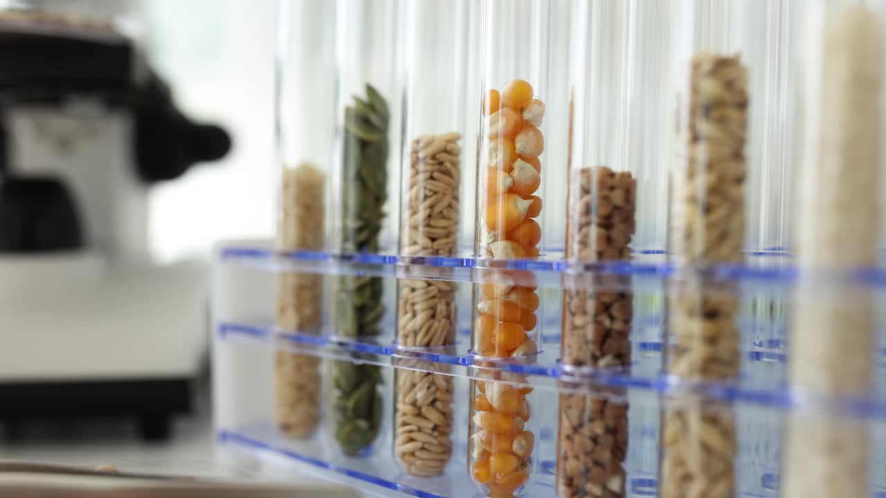 实验室的架子上摆放着装有各种谷物种子的试管视频素材