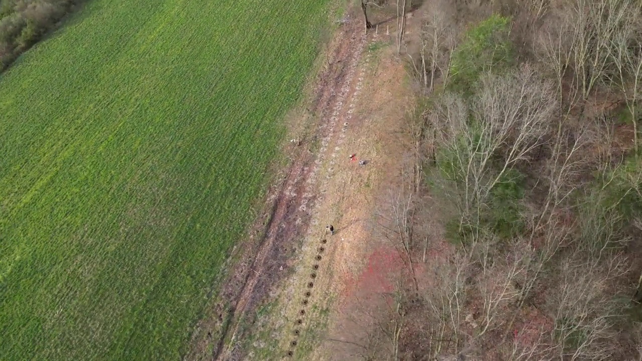 人们在田野里挖洞和工作的航拍照片，背景是树木视频下载