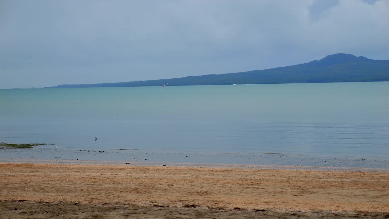 新西兰奥克兰的Rangitoto岛和Kohimarama海滩视频下载