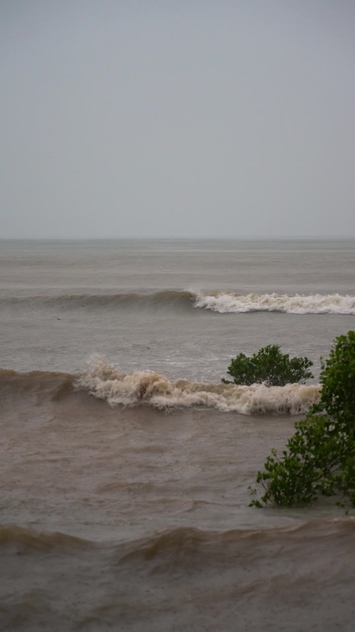 季风海浪冲击着泰国的红树林栖息地视频下载