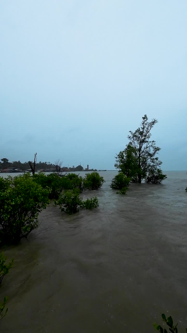 季风风暴期间的泰国沿海村庄视频下载