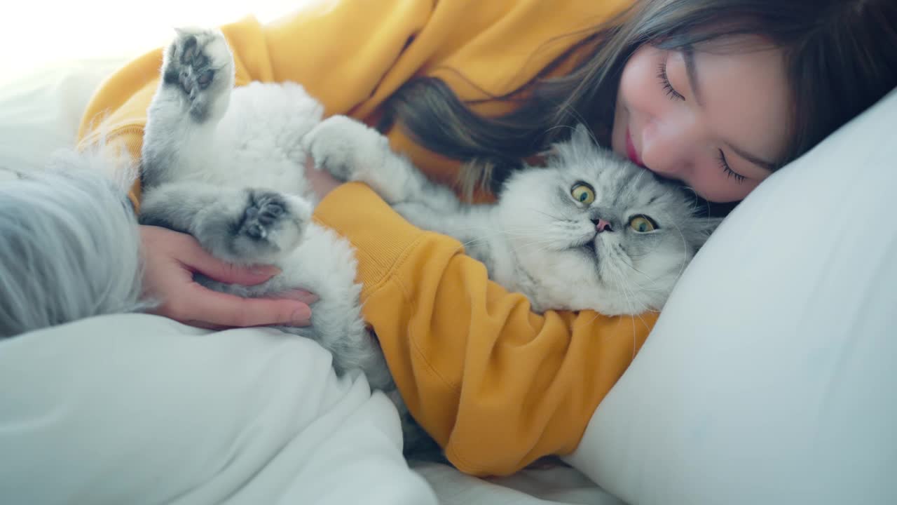快乐的亚洲女人抱着毛茸茸的灰猫，放松地躺在家里的床上，宠物和主人之间的感人时刻，宠物的友谊。视频下载