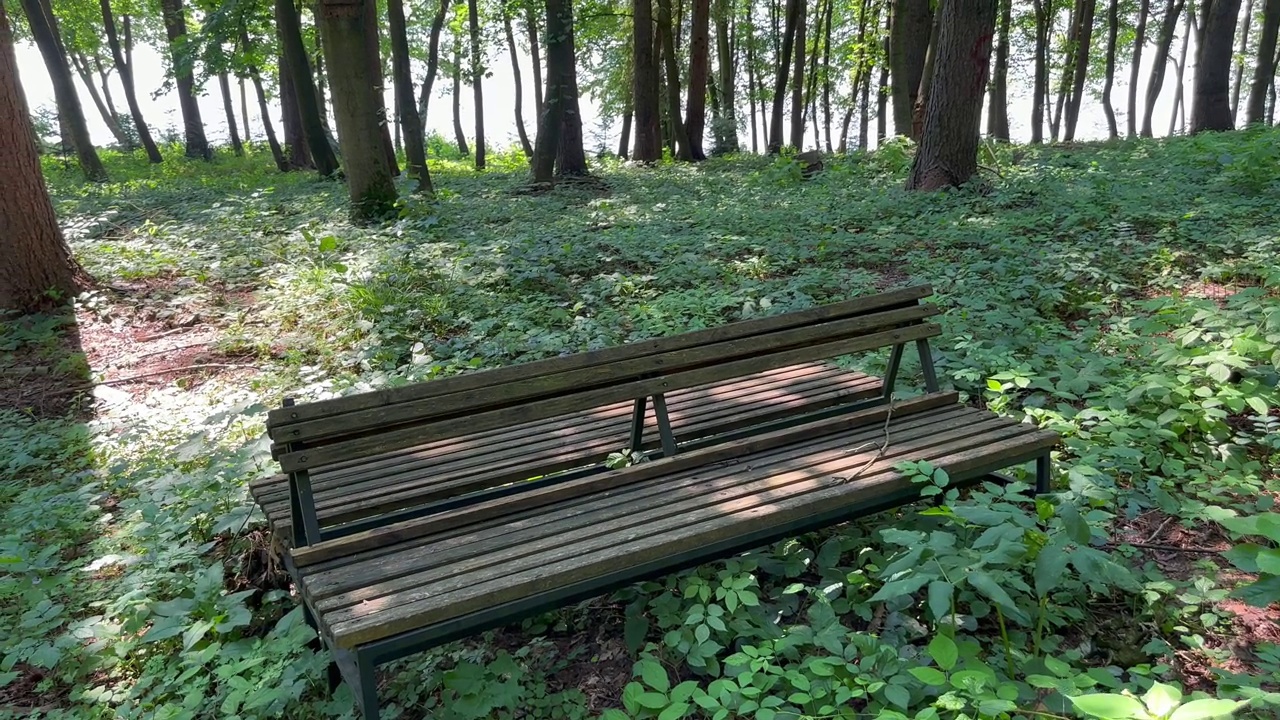 公园里树林中的长椅视频素材