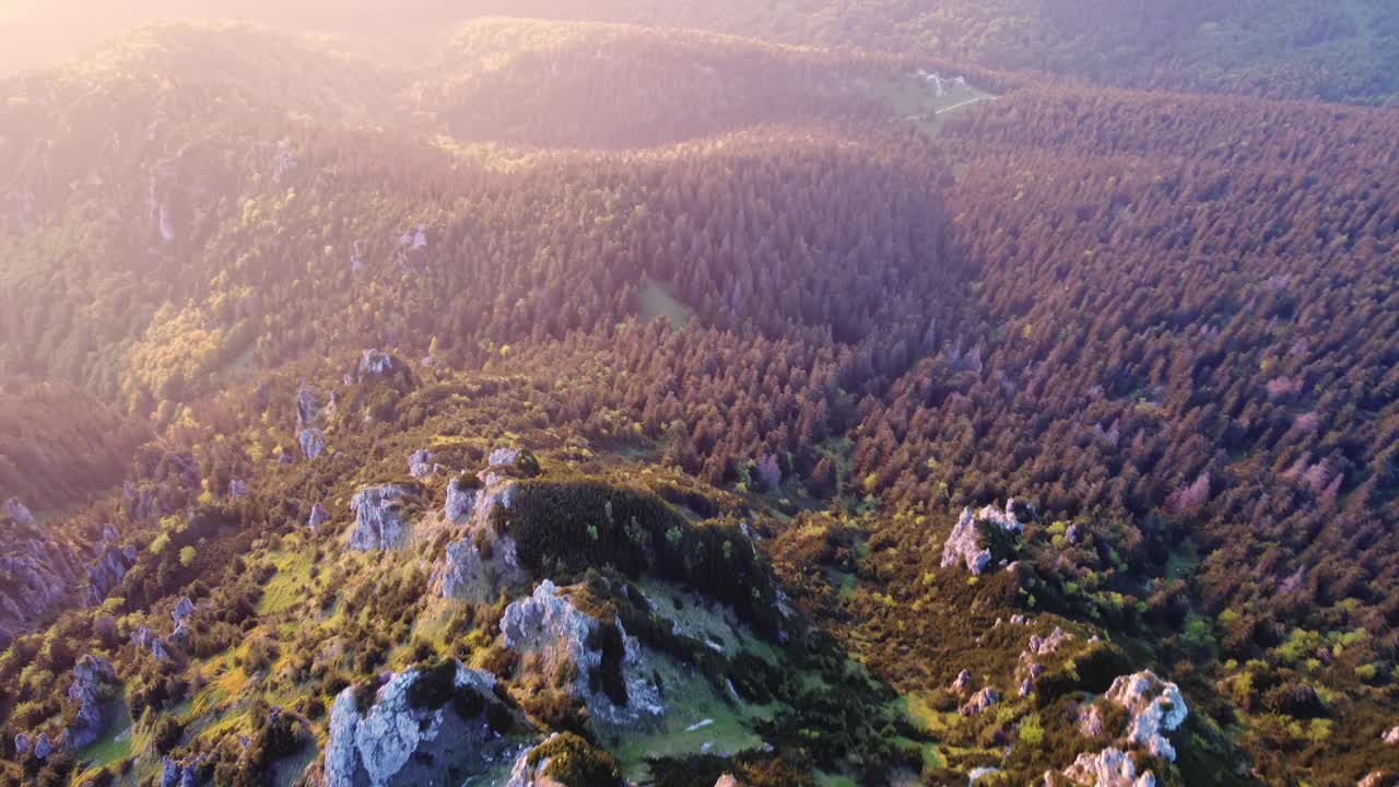 喀尔巴阡山脉山顶鸟瞰图。在国家公园里。视频下载