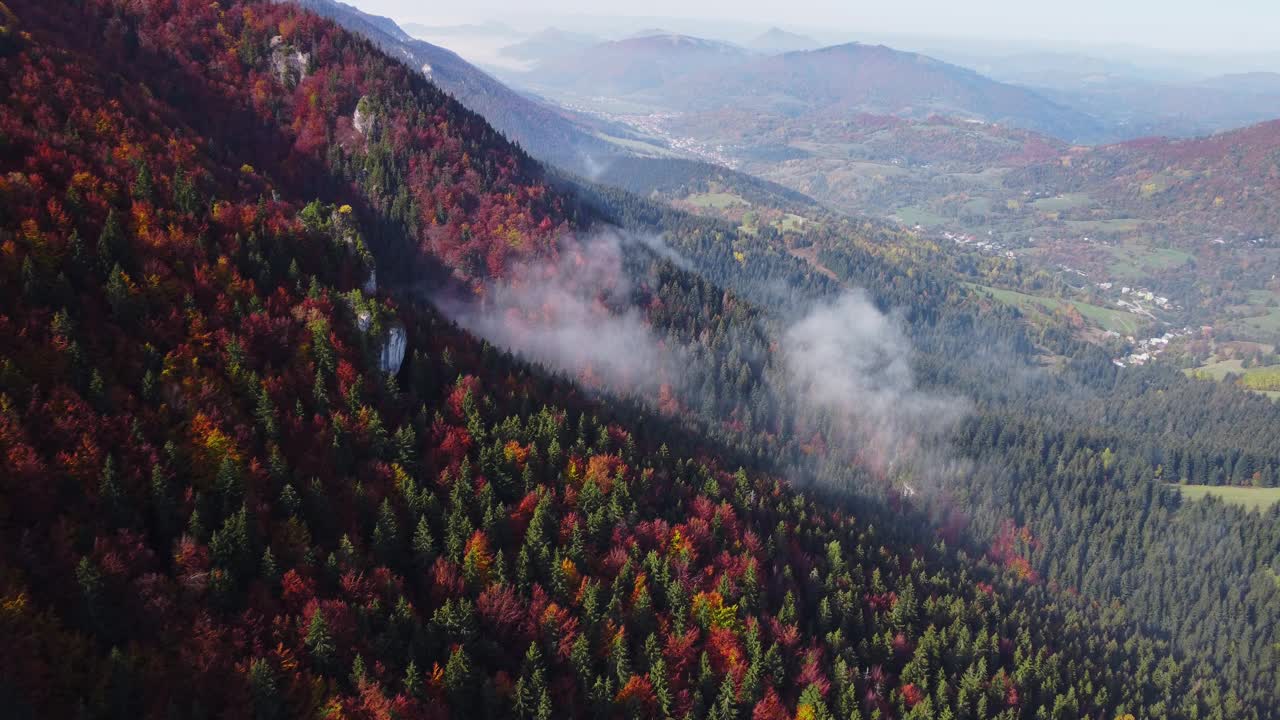 在一片五彩缤纷的秋林上空飞翔。雾在树上消失了。视频下载