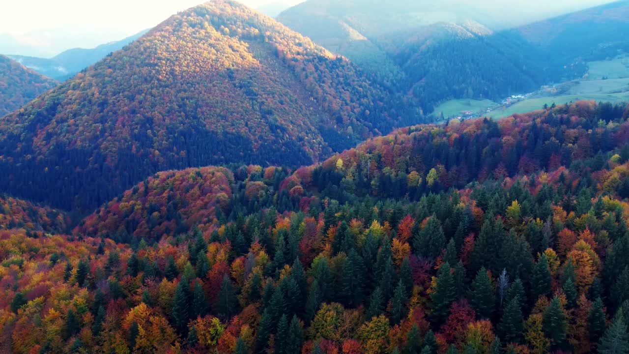 从无人机上鸟瞰，秋天森林中的树木五彩缤纷，丘陵森林景观视频下载