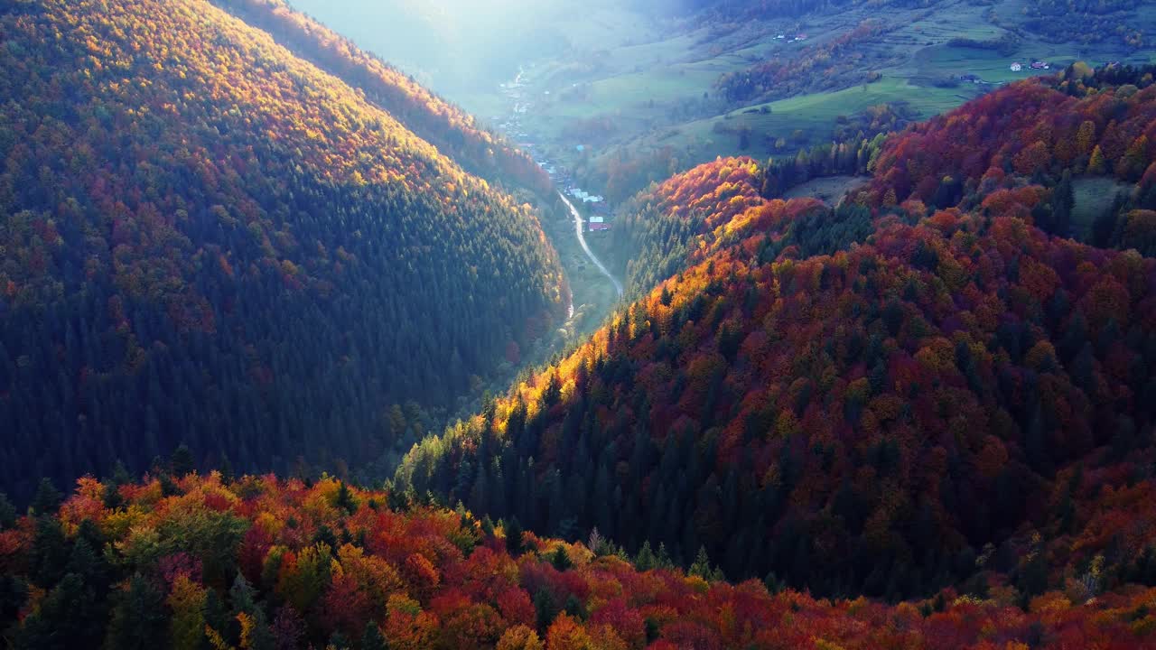 从无人机上鸟瞰，秋天的树木在森林中五彩缤纷，丘陵乡村森林景观，阳光照亮树梢视频下载