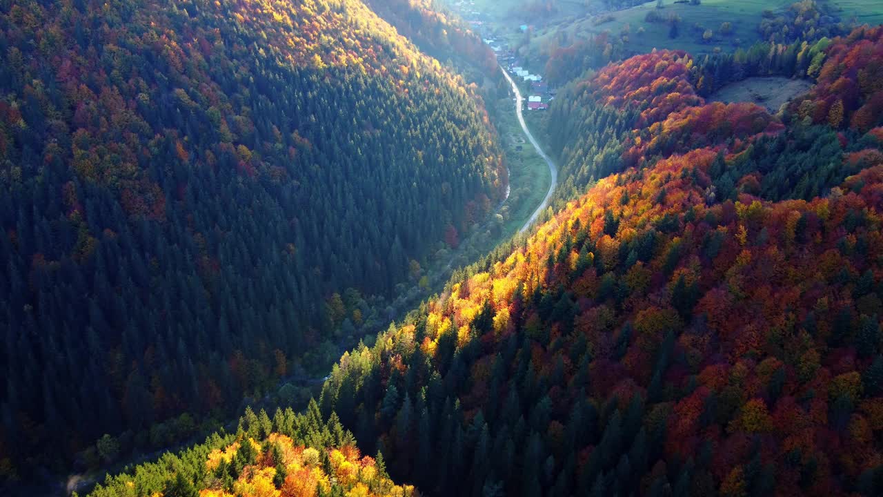 一个秋天的早晨，从空中俯瞰美丽森林中的山路。森林之路视频下载