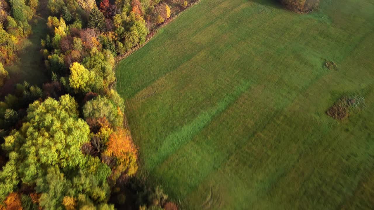 空中无人机俯瞰喀尔巴阡山脉乡村景观的秋天森林。树林里五颜六色的树木视频下载