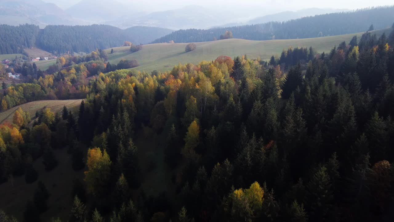 空中无人机俯瞰喀尔巴阡山脉乡村景观的秋天森林。树林里五颜六色的树木视频下载
