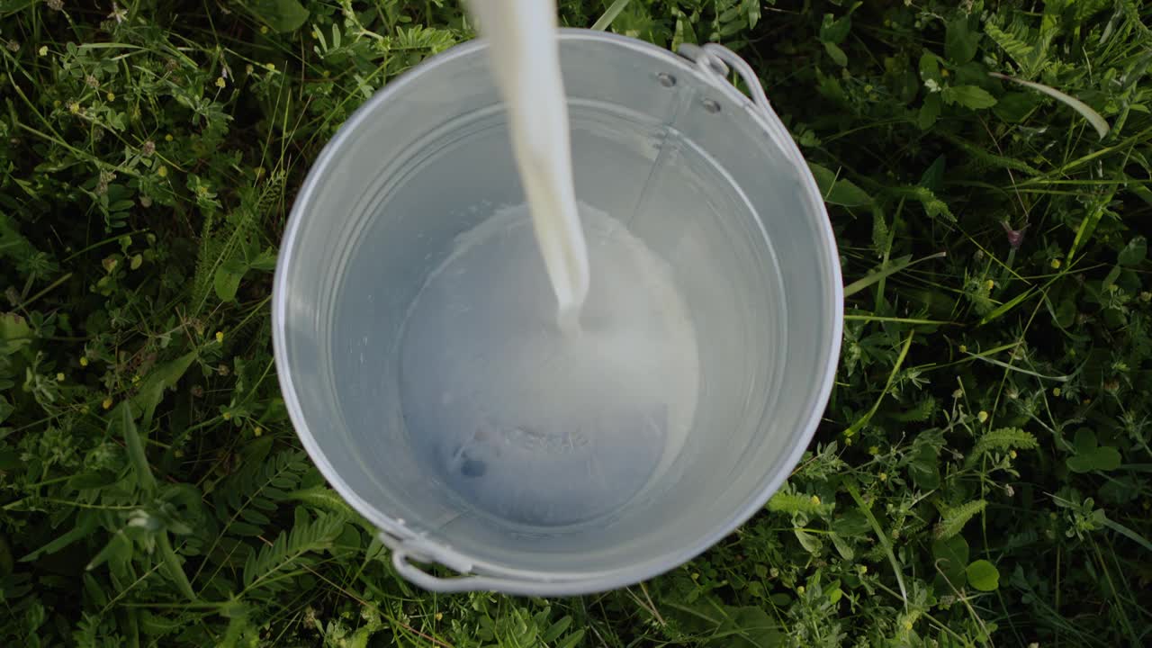 牛奶被倒进桶里。从上面看，桶立在绿色的草地上。慢动作4k视频视频下载