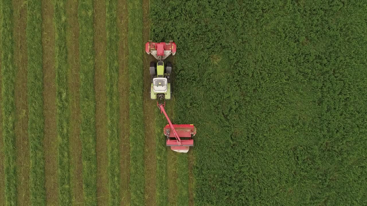 拖拉机割苜蓿，从上面看，夏末收获，图形图案在田野上视频下载