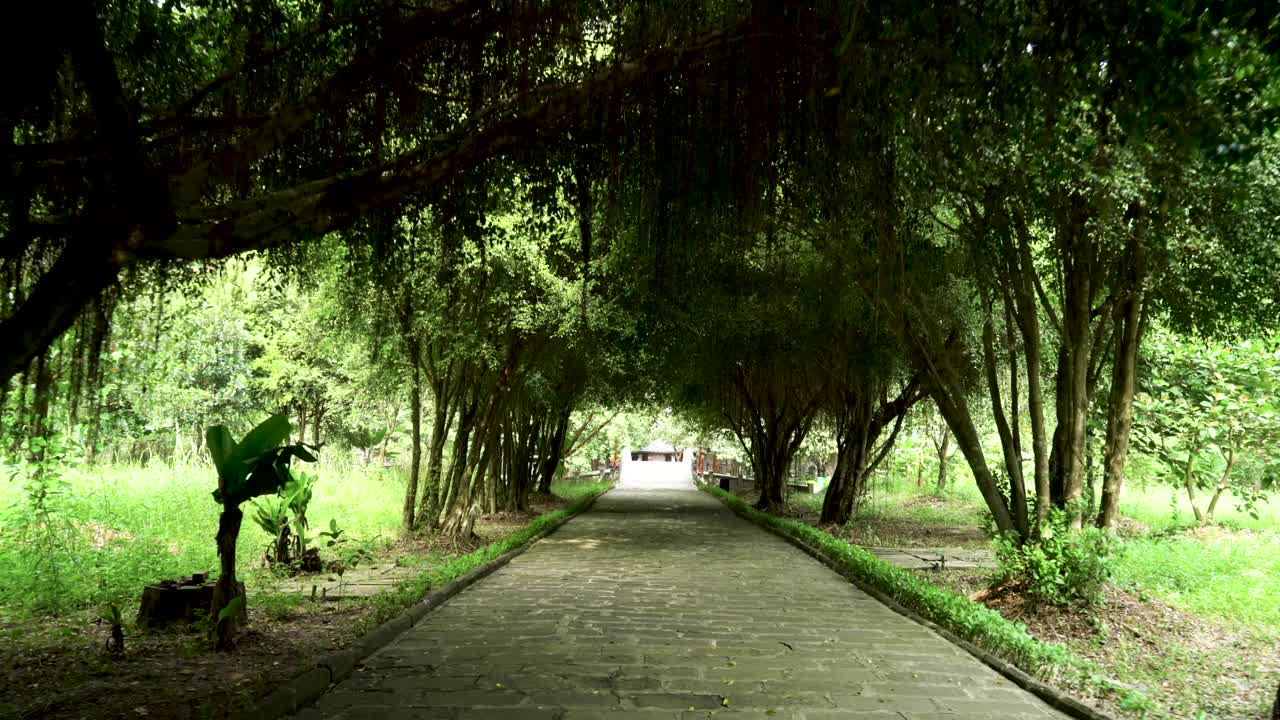 越南Den Tho Thanh Quy Minh Suoi Tien寺庙的树木小径视频素材