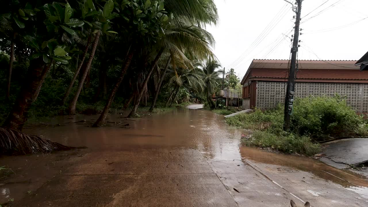 暴雨后被水淹没的街道上的遛狗者视频素材