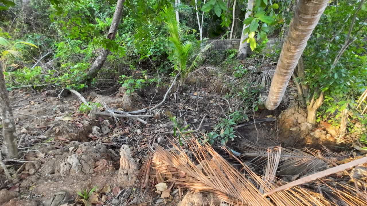 泰国丛林中干涸的河床干旱视频下载