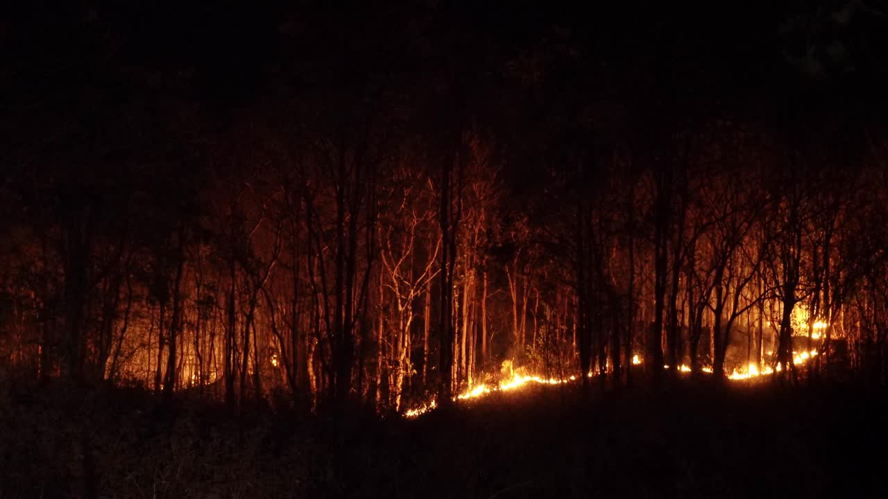 亚洲旱季的森林火灾视频素材