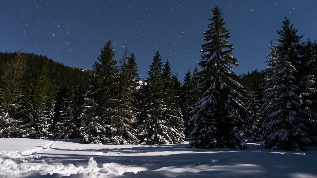 蓝色星空的夜空星星在冬季森林自然月光下，户外探险天文时间流逝视频下载