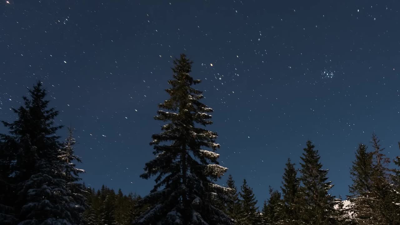 月光下寒冷山区夜空中冬季森林上移动的星星视频下载