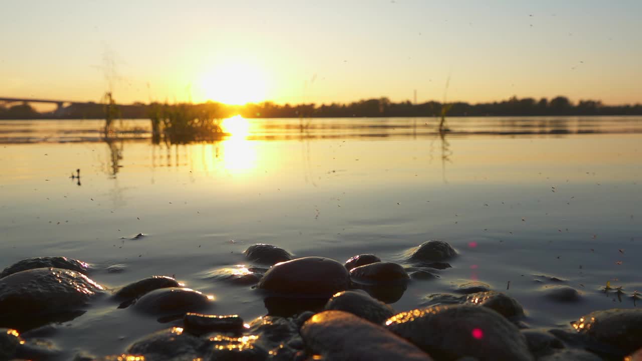 河上的日落，石头和飞蚊的慢动作视频下载