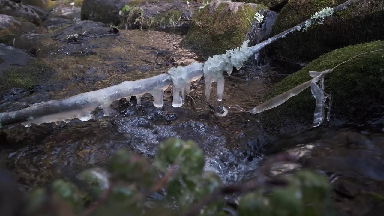 小溪上结冰的树枝视频素材