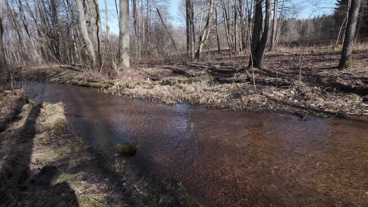 春天的沼泽溪视频下载