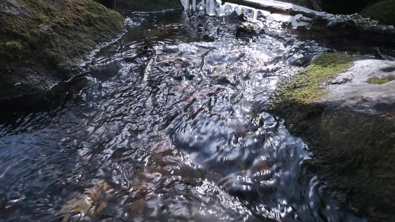 春天的山溪视频下载