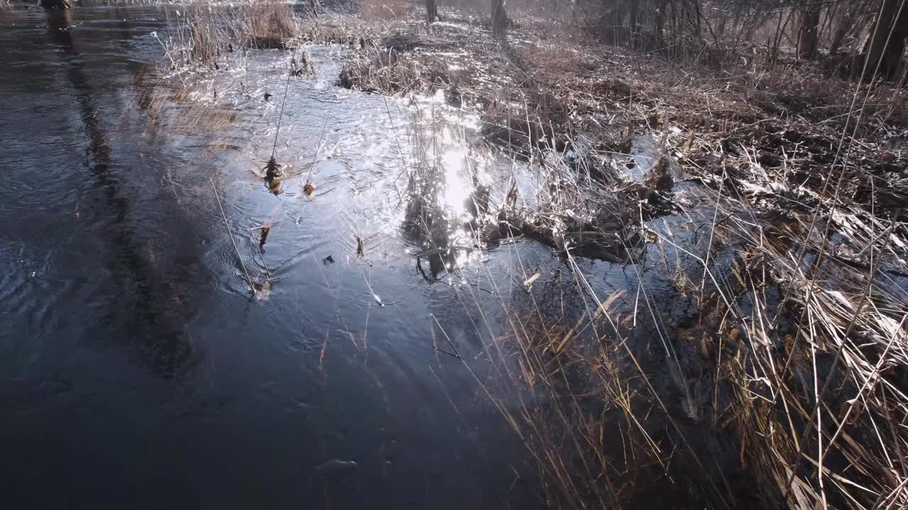 春季河水泛滥视频下载