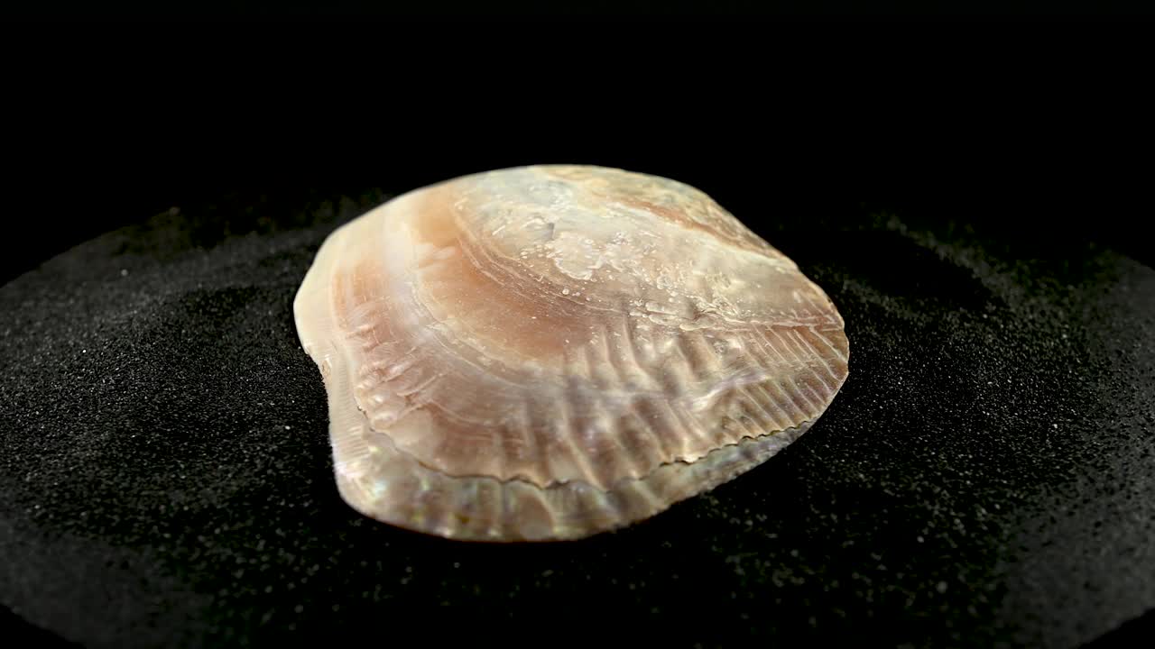 海珍珠牡蛎壳上的黑色沙滩HD视频下载