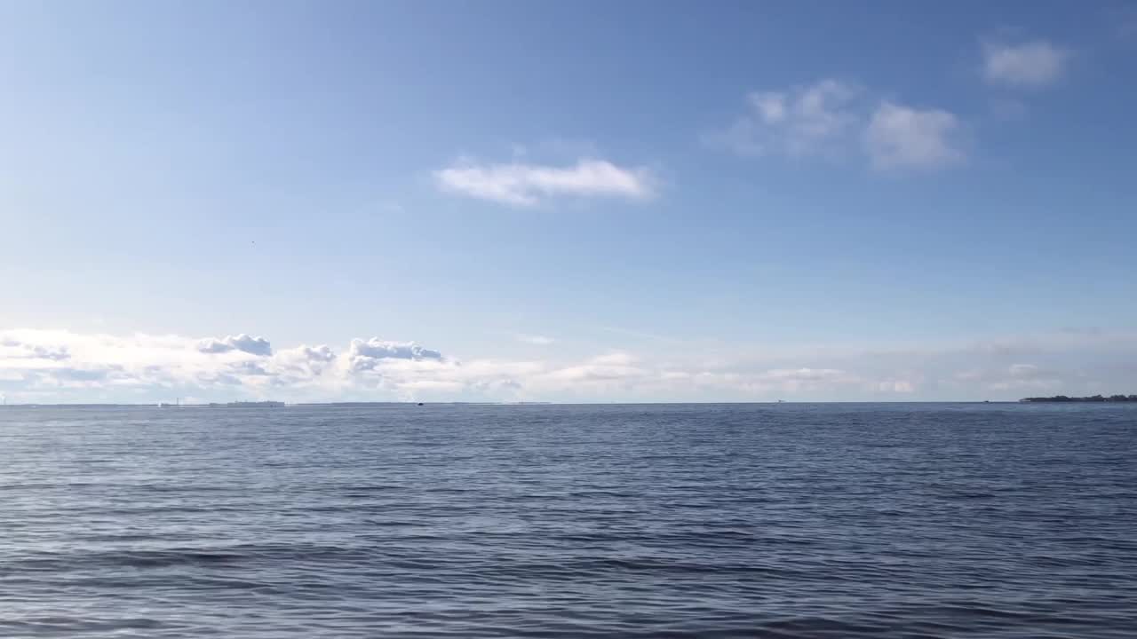 波罗的海，海景，夏日视频下载