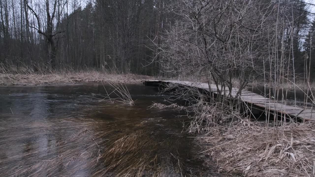 春季河水泛滥视频下载