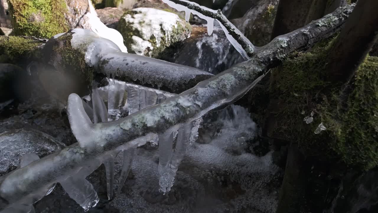 小溪里结冰的树枝视频下载