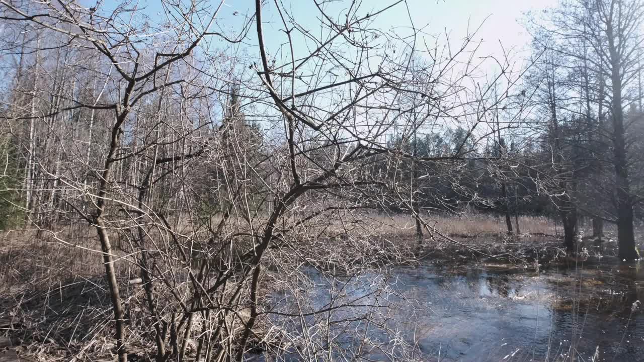 春天的河水流量视频下载