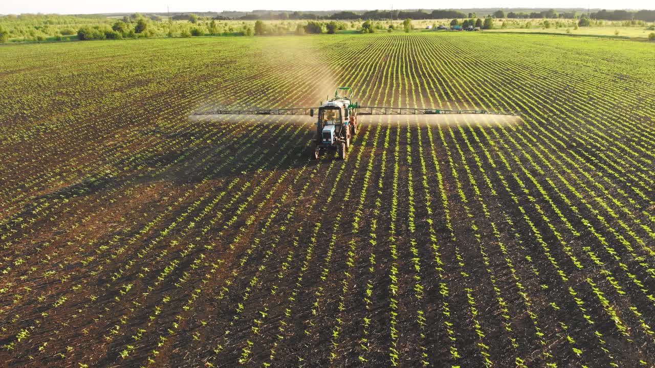 空中镜头。日落时分，农药喷雾器拖拉机在一大片绿色的田野上工作。航拍照片，旁边是一辆拖拉机在麦田里喷洒防病剂。农民技术理念。视频下载